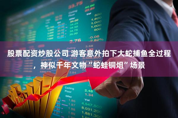 股票配资炒股公司 游客意外拍下大蛇捕鱼全过程，神似千年文物“蛇蛙铜俎”场景