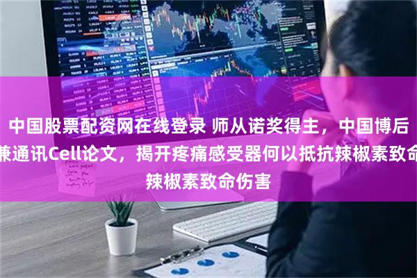 中国股票配资网在线登录 师从诺奖得主，中国博后一作兼通讯Cell论文，揭开疼痛感受器何以抵抗辣椒素致命伤害