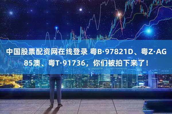 中国股票配资网在线登录 粤B·97821D、粤Z·AG85澳、粤T·91736，你们被拍下来了！