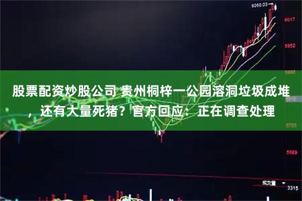 股票配资炒股公司 贵州桐梓一公园溶洞垃圾成堆，还有大量死猪？官方回应：正在调查处理